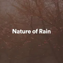 Nature of Rain Summer