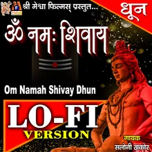 Om Namah Shivay Dhun Lo-Fi Version