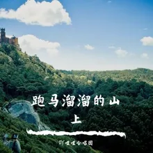 跑马溜溜的山上