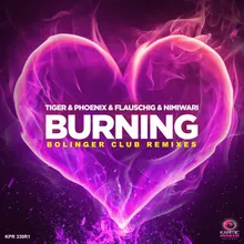 Burning Bolinger Club Instrumental Mix