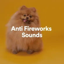 Anti Fireworks Sounds, Pt. 1