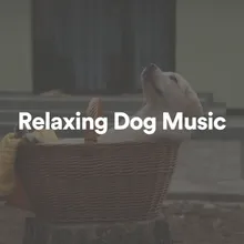 Relaxing Dog Music, Pt. 1
