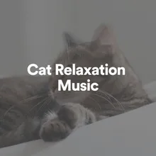 Cat Relaxation Music, Pt. 13