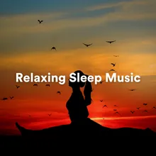 Relax Study Music