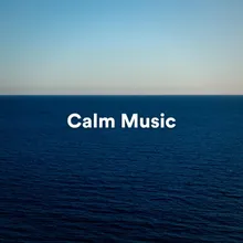 Meditation Music Calming Music