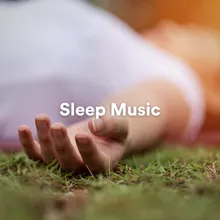 Music For Sleeping Sleep Music