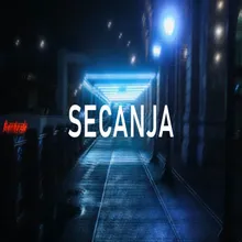 Secanja