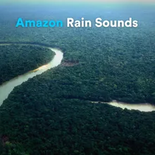 Rain Sounds in the Amazon