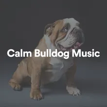 Calm Bulldog Music, Pt. 7