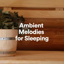 Ambient Melodies for Sleeping, Pt. 9