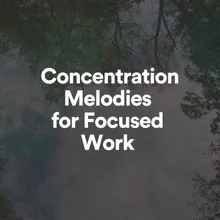 Concentration Melodies for Focused Work, Pt. 11