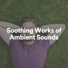 Soothing Works of Ambient Sounds, Pt. 12