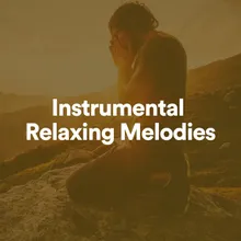 Instrumental Relaxing Melodies, Pt. 9
