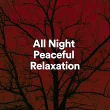 All Night Peaceful Relaxation, Pt. 4