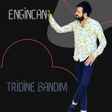 Tridine Bandım