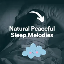 Natural Peaceful Sleep Melodies, Pt. 2