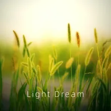 Light Dream