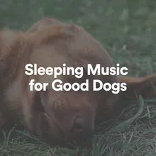 Sleeping Music for Good Dogs, Pt. 8