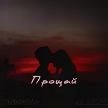 Прощай