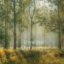 Unwind Darkness