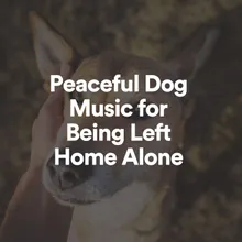 Peaceful Dog Music for Being Left Home Alone, Pt. 20