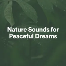 Nature Sounds for Peaceful Dreams, Pt. 8