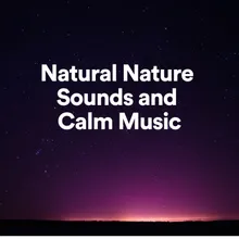 Natural Nature Sounds and Calm Music, Pt. 35