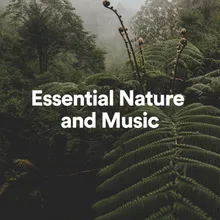 Essential Nature and Music, Pt. 34