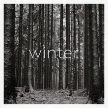 Vier Jahreszeiten - Winter dyrtbyte Remix