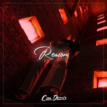 Reason Remix