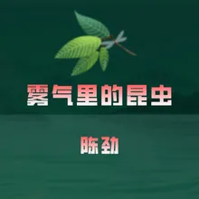 雾气里的昆虫