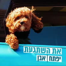 את השתגעת