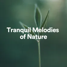 Tranquil Melodies of Nature, Pt. 49