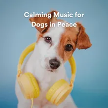 Calming Music for Dogs in Peace, Pt. 16