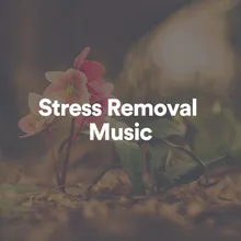 Stress Removal Music, Pt. 7