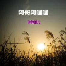 阿哥阿哩哩