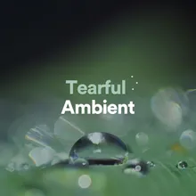 Reassemble Ambient