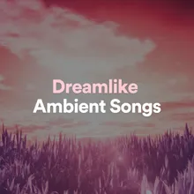 Dreamlike Ambient, Pt. 13