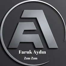 Zım ZIm