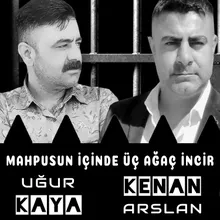 Mahpusun İçinde Üç Ağaç İncir