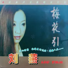 大漠小夜曲