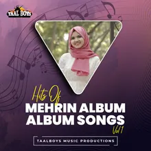 Paadikadavath Hits Of Mehrin Album Songs, Vol.1