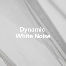 Dynamic White Noise, Pt. 10