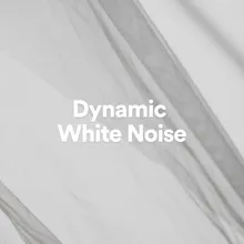 Dynamic White Noise, Pt. 23