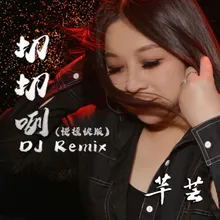 切切咧 DJ Remix 慢摇快版