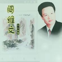 小白杨