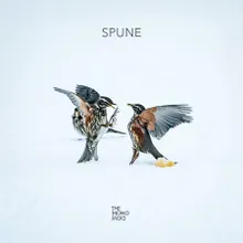 Spune