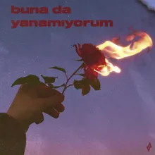 buna da yanamıyorum