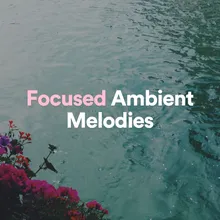 Focused Ambient Melodies, Pt. 24