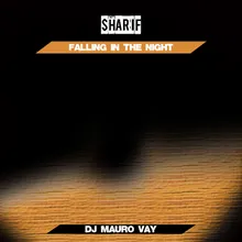 Falling in the Night Dj Mauro Vay Radio Mix